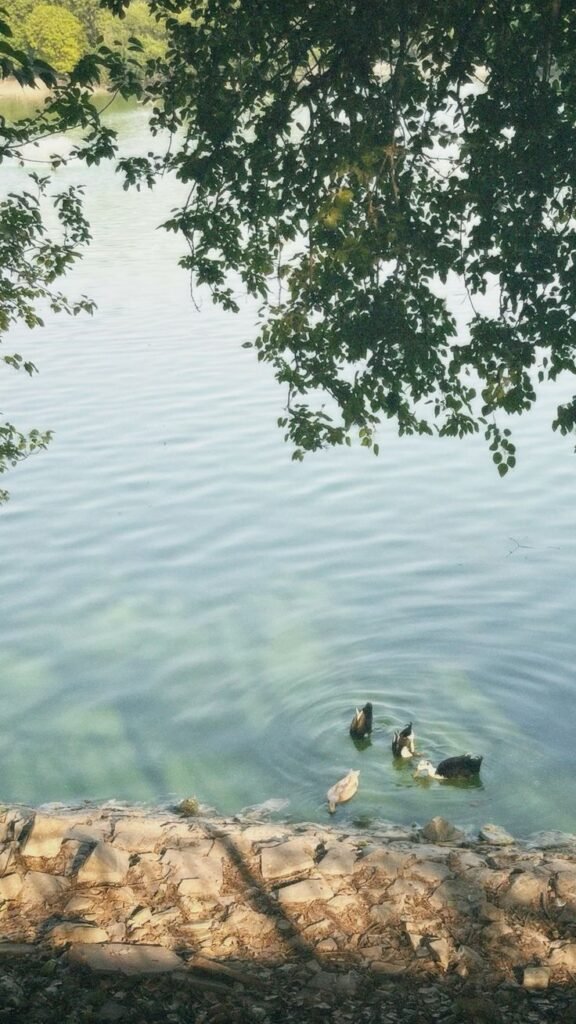 Agrasen ki Baoli Delhi