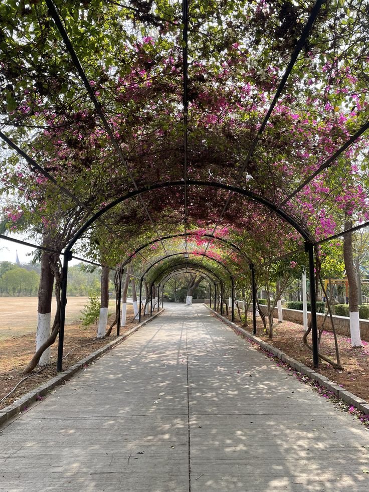 scenic walks in Delhi
