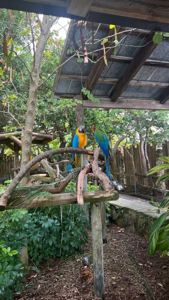 scenic walks in Delhi