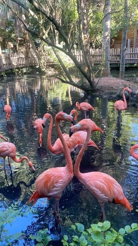 Old and New Delhi monument tour