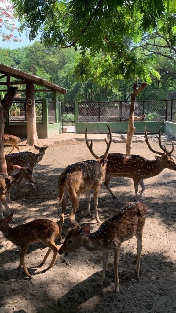 hidden gems in Delhi