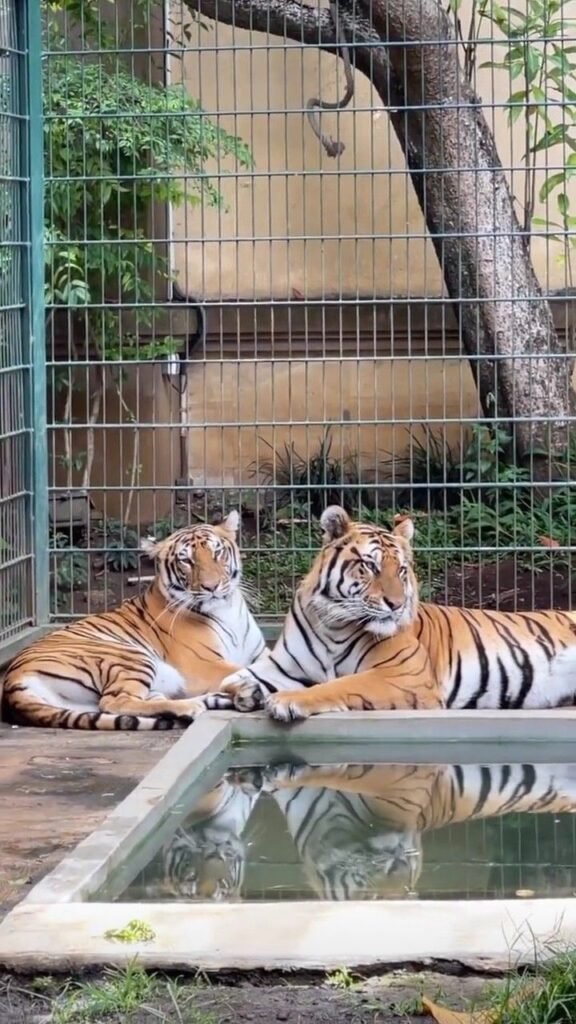 hidden gems in Delhi