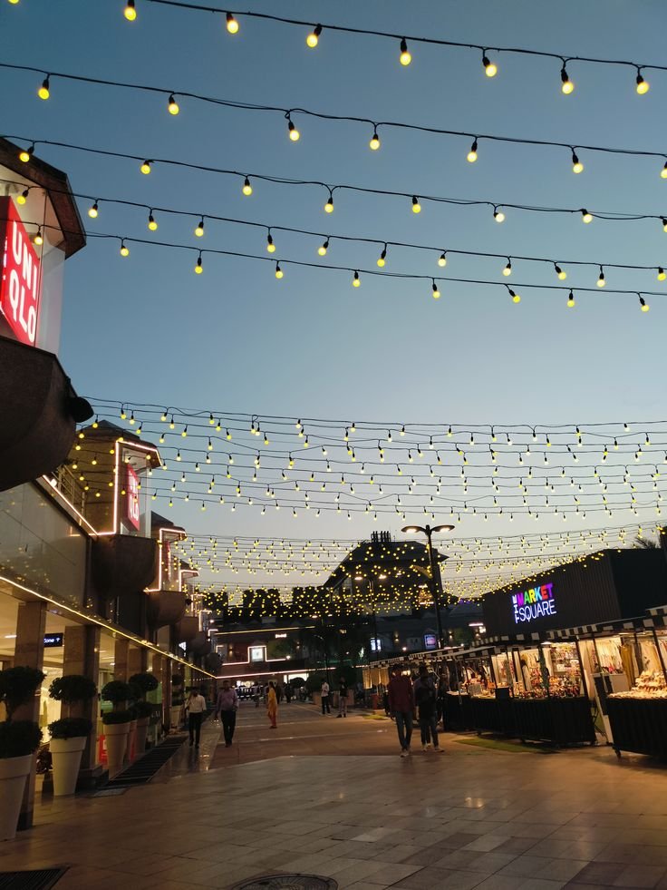 Top attractions near Lotus Temple